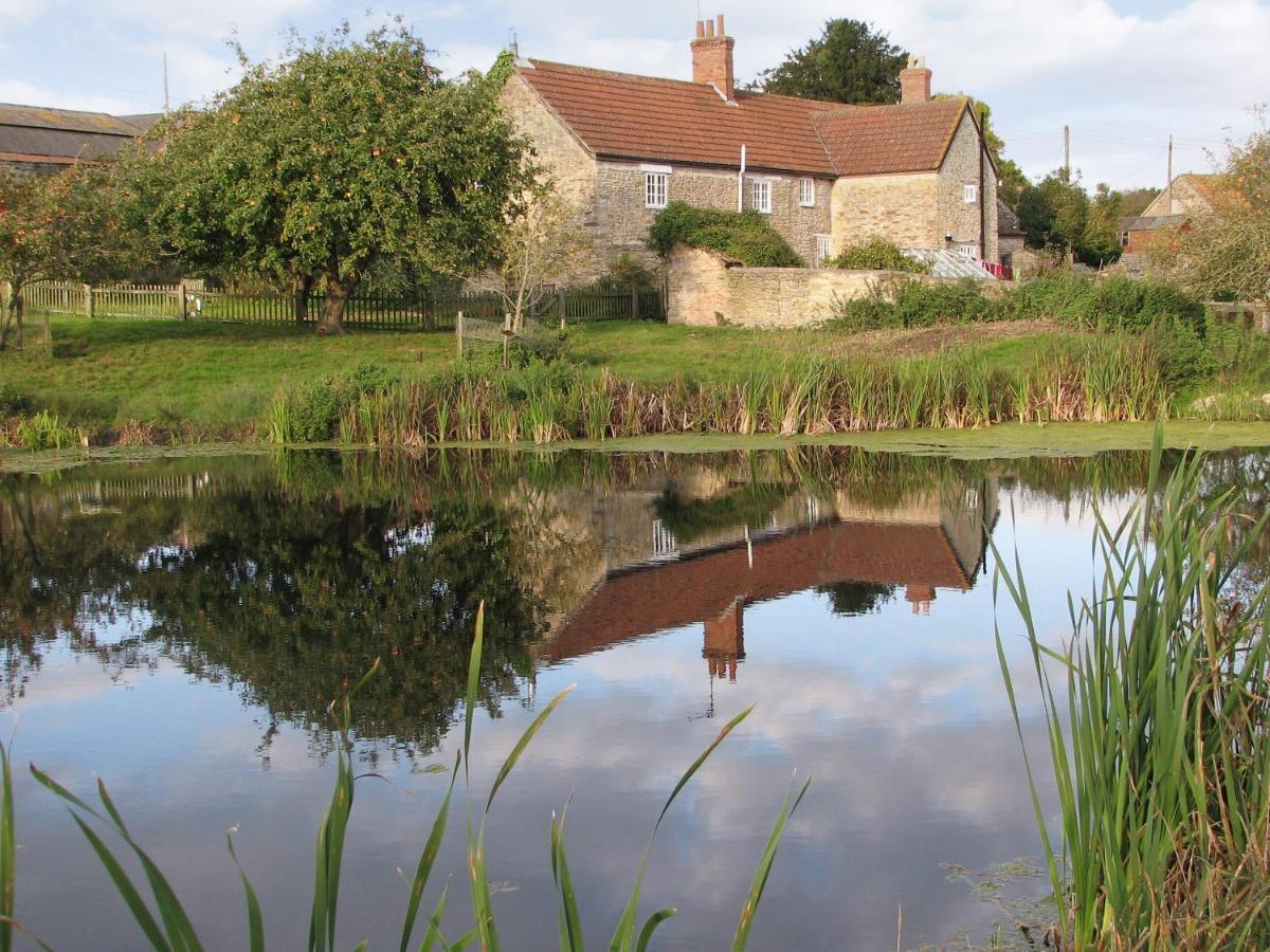 Old Orchard Cottage Haydon ภายนอก รูปภาพ